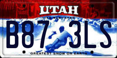 UT license plate B873LS