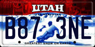 UT license plate B873NE
