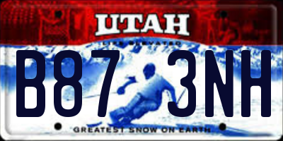 UT license plate B873NH
