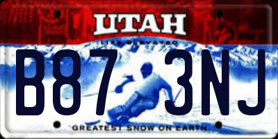 UT license plate B873NJ