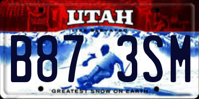 UT license plate B873SM