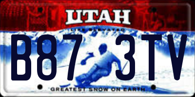 UT license plate B873TV