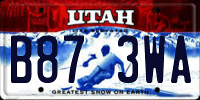 UT license plate B873WA