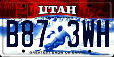 UT license plate B873WH