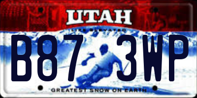 UT license plate B873WP