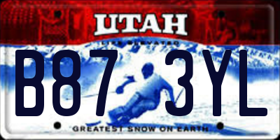 UT license plate B873YL