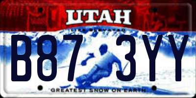 UT license plate B873YY