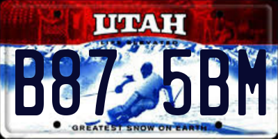 UT license plate B875BM