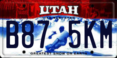 UT license plate B875KM