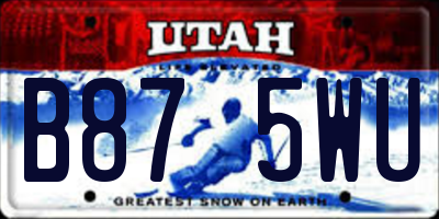 UT license plate B875WU