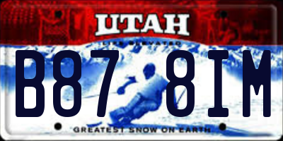 UT license plate B878IM