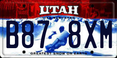 UT license plate B878XM