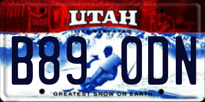 UT license plate B890DN