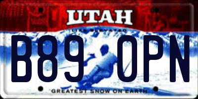 UT license plate B890PN