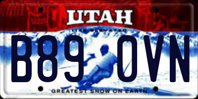 UT license plate B890VN