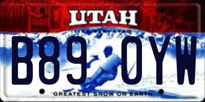UT license plate B890YW