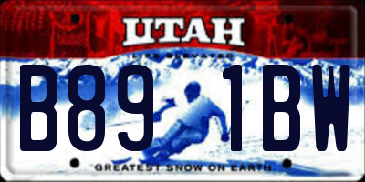 UT license plate B891BW