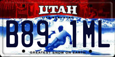 UT license plate B891ML