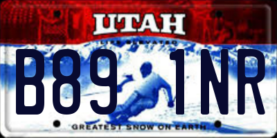 UT license plate B891NR