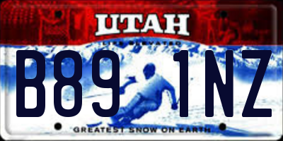 UT license plate B891NZ