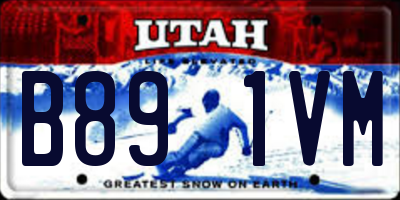 UT license plate B891VM