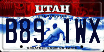 UT license plate B891WX