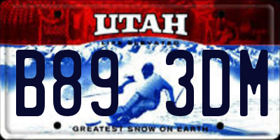 UT license plate B893DM