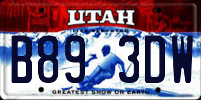 UT license plate B893DW