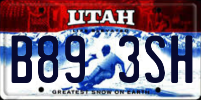 UT license plate B893SH
