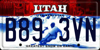 UT license plate B893VN