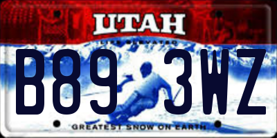 UT license plate B893WZ