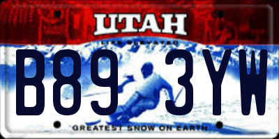 UT license plate B893YW