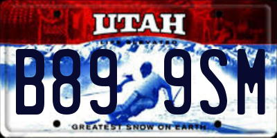 UT license plate B899SM