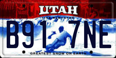 UT license plate B917NE