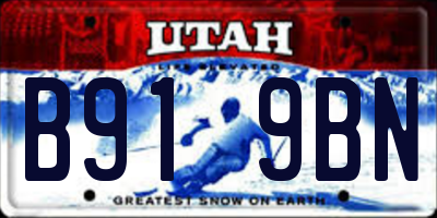UT license plate B919BN