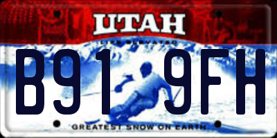 UT license plate B919FH