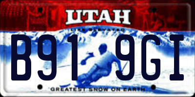 UT license plate B919GI