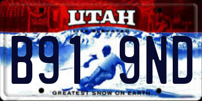 UT license plate B919ND