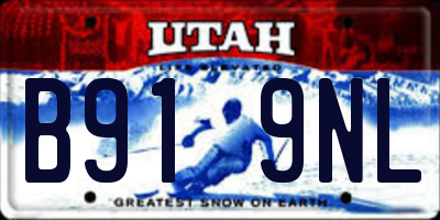 UT license plate B919NL