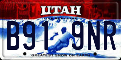 UT license plate B919NR