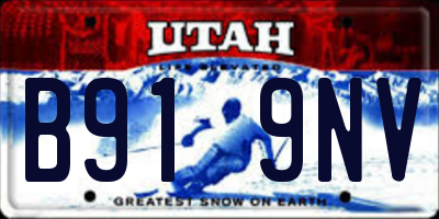 UT license plate B919NV