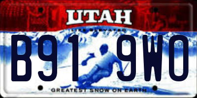 UT license plate B919WO