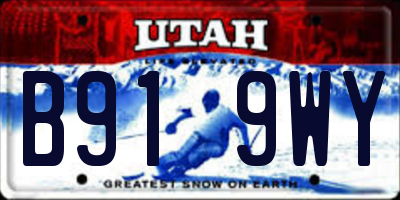 UT license plate B919WY