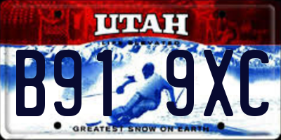 UT license plate B919XC