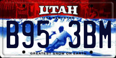 UT license plate B953BM