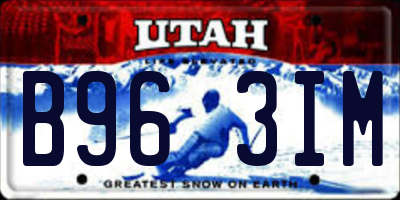 UT license plate B963IM