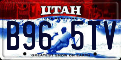 UT license plate B965TV