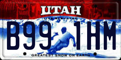 UT license plate B991HM