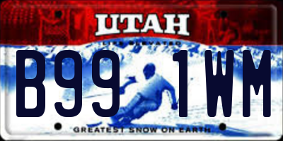 UT license plate B991WM