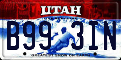 UT license plate B993IN